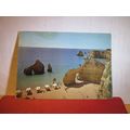 THREE BEARS, PRAIA DA ROCHA, ALGARVE, PORTUGAL ...