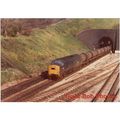 Railway Photo BR Class 37 37178 NEWPORT 1977 Di...