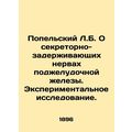 Popelsky L.B. On the secretory-retention nerves of the pancreas. An experimental