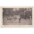 Prince Henry's Wooing Romsey Pageant Postcard