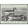 RW43, Canada Geese DUCK STAMP VF OG NH - LOW PR...