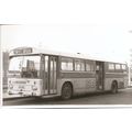 Black & White Photograph of London Country Bus ...