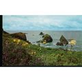 USA Postcard - Pacific Coastline, California