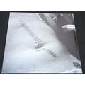 Edgewise - Self Titled Edgewise Vinyl LP Sealed