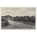 Danbury Common Essex Postcard D3