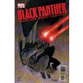 Black Panther (Vol 2) # 051 NM MODERN AGE COMICS