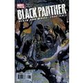Black Panther (Vol 2) # 053 NM MODERN AGE COMICS
