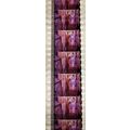Pk DAU - B - MIX - e 0121Q . - 1 STRIP OF 5 - 3...