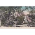 ED 77 ASHWELL - THE SPRINGS. PRINTED POSTCARD