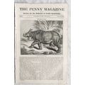 1834 The Penny Magazine No. 132 Exeter, Gondola...