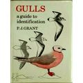 Gulls a Guide to Identification by Peter James Grant