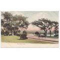 The Park Poole Dorset Local Publisher L Wilkins...