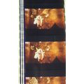 Labyrinth. Pk VBC - a005E. - 1 STRIP OF 5 - 35M...