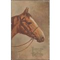 George Rankin - Horse - Birthday Greetings, 192...