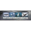 Niue 2016 Bloc Feuillet Baleines Neuf **