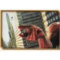 Merlin's Spider-Man (2002) Sticker Collection -...