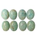 53564 - 4 Pairs Rare Natural Australian Snowfla...