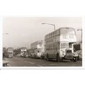 Black & White Photograph of SELNEC P.T.E. - UNB...