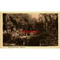 Canal Company Garden, Ismailia, Egypt, Crease, ...