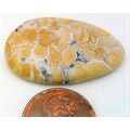 Stone Canyon Jasper Freeform Gemstone Cabochon 24