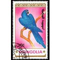 Mongolia 1990 Parrots 30M Used Stamp