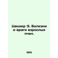 Zander E. Diseases and Enemies of Adult Bees. In Russian (ask us if in doubt)/Ts