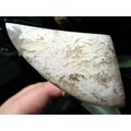 Stinkingwater Plume Agate Large Tooth Cabochon:...