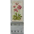 1913 Wills, Alpine Flowers No. 44 Bird's-eye Pr...