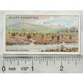 1915 Wills Overseas Dominions Australia No. 20 ...