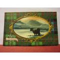 LOCH ACHRAY, TROSSACHS unused antique postcard ...
