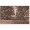 Shirley Park Hotel Surrey Amazing Grounds Old P...