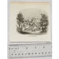 1860s engraving - A knotted garden