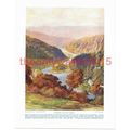 Symonds Yat, Wye Valley, Monmouthshire, Wales, ...