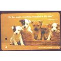 Puppies S'pore TransitLink Train/Bus Card