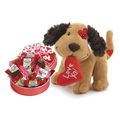 Lotsa Love Valentine Plush w/ Chocolates