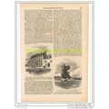 OLNEY (COWPER'S HOUSE & MARKET HILL TREE), BOOK...