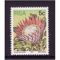 SOUTH AFRICA 1977 SG 418 5c CYNAROIDES U/M MINT