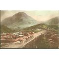 Antique E.T.W. Dennis Ltd PC 1922 - Nant Franco...