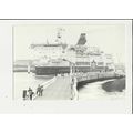 Belgian Marine MV PRINS FILIP Postcard by Tropi...