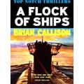 A Flock Of Ships