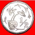 FLOWER: CYPRUS ★ 1/2 CENT 1983 MINT LUSTER! LOW...