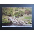 Sad Ghyll Bridge, Longsleddale, Cumbria Postcard