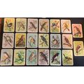 20 Vintage Tuckfields Australian Bird Cards - S...