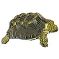 Tortoise Pet Wild Animal Creature Brooch Metal ...