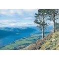 PP186: Bassenthwaite Lake from Dodd Summit