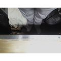 any 2 for ten must buy at least 2 for free ship...