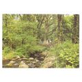 BRIDGE, BECKY FALLS DARTMOOR by Herbert Truman ...
