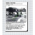 Felsted Essex House Sale Advert - 1981 Cutting