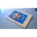 RIVERDANCE: The Show Theatre Programme (1997)