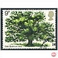 1973 Tree SG922 Very Fine Used